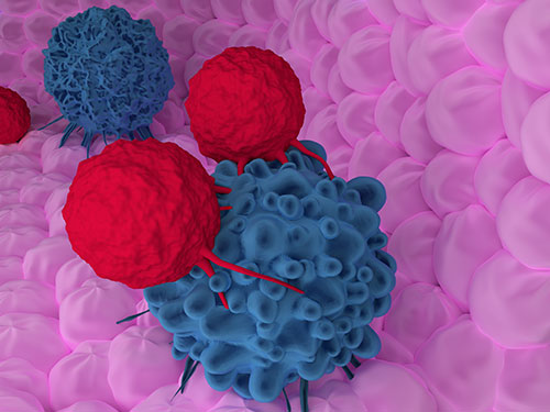 T-cells attacking cancer cell